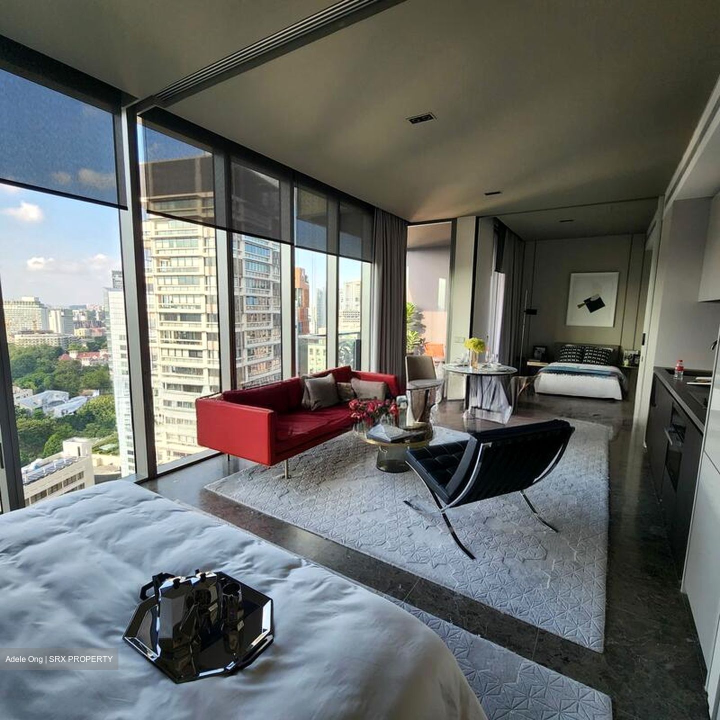 Cuscaden Reserve (D10), Condominium #496188241